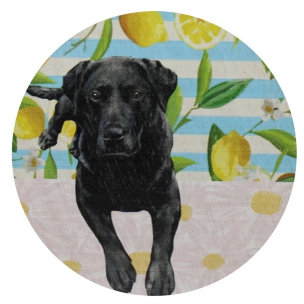 NWT Sand + Paws Back Labrador Lemon Verbena 14 oz candle